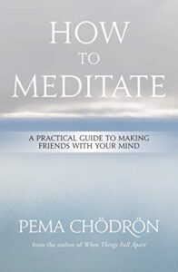 How To Meditate: A Practical Guide To Making Friends With Your Mind By Pema Chödrön best meditation books